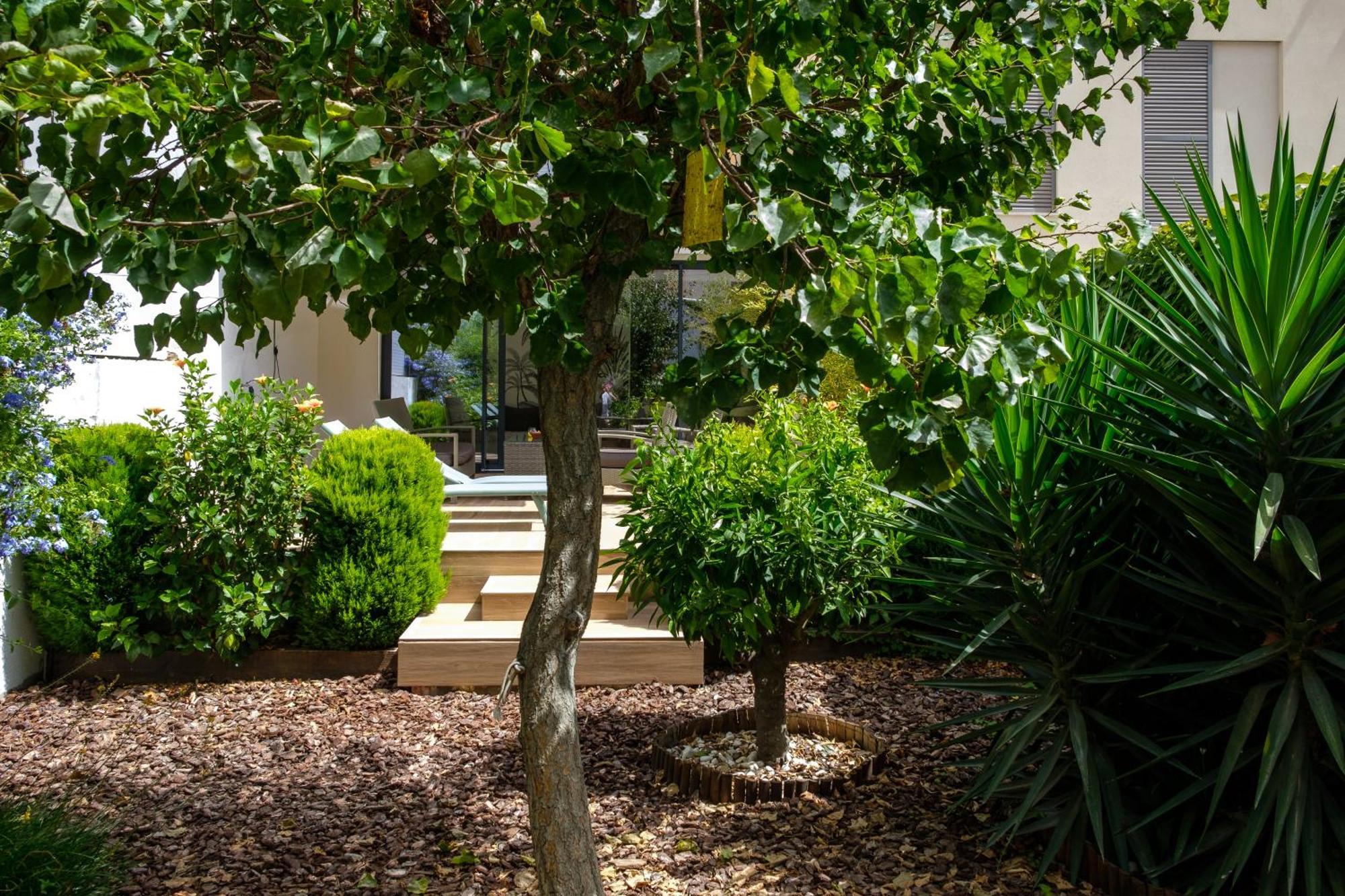 Pretty House Sa Font In Santa Catalina Palma City Екстер'єр фото