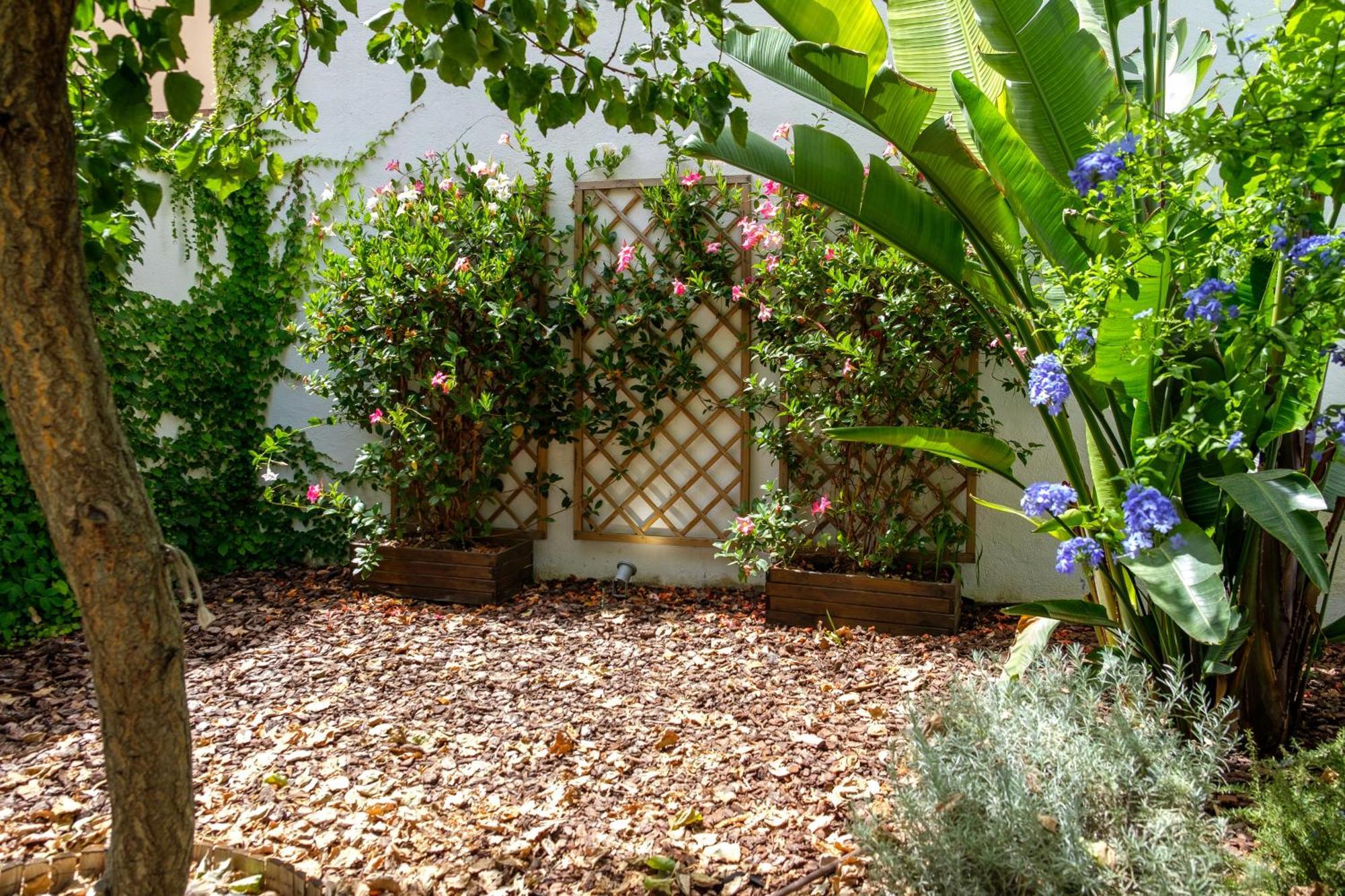 Pretty House Sa Font In Santa Catalina Palma City Екстер'єр фото