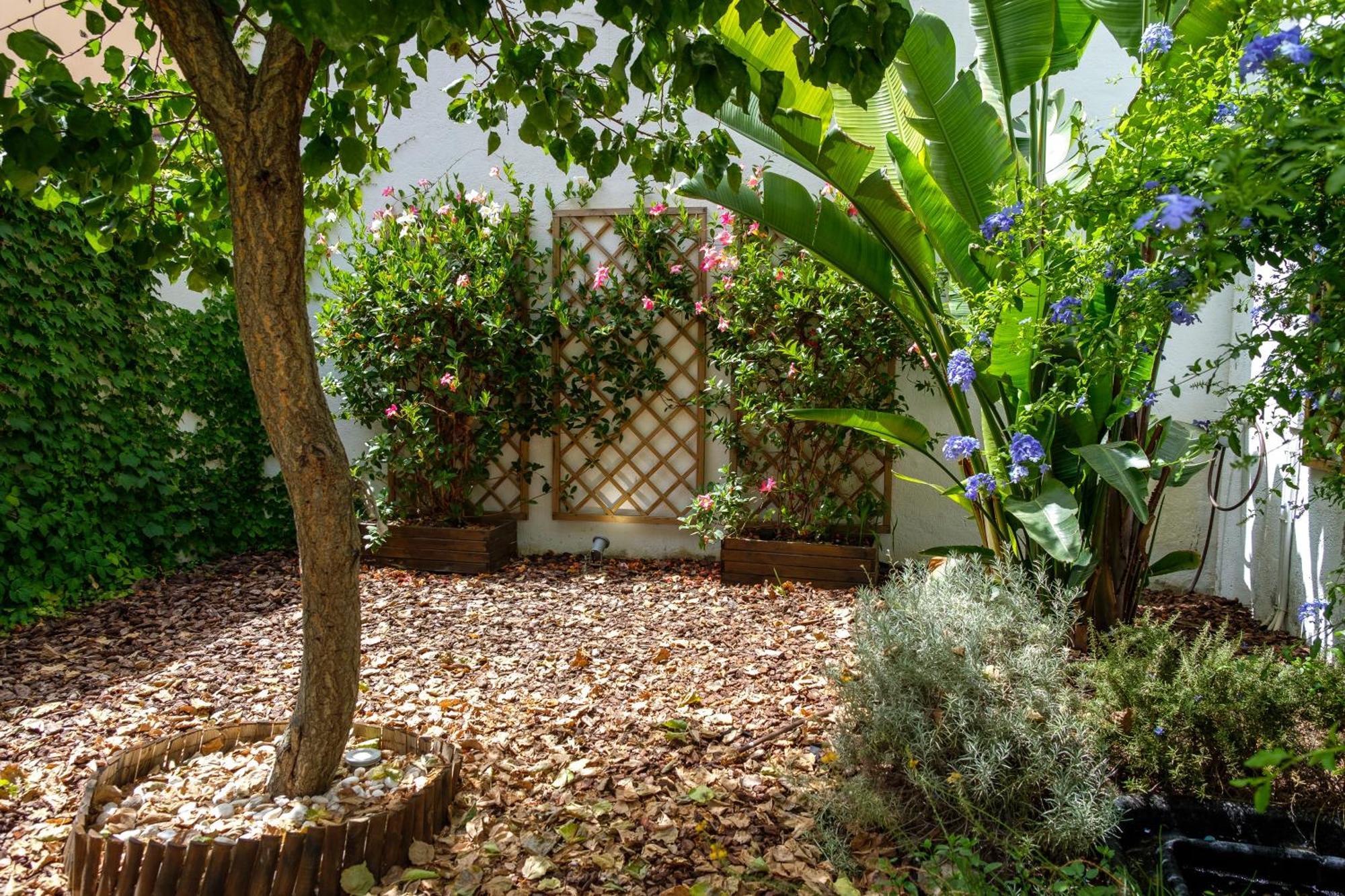 Pretty House Sa Font In Santa Catalina Palma City Екстер'єр фото
